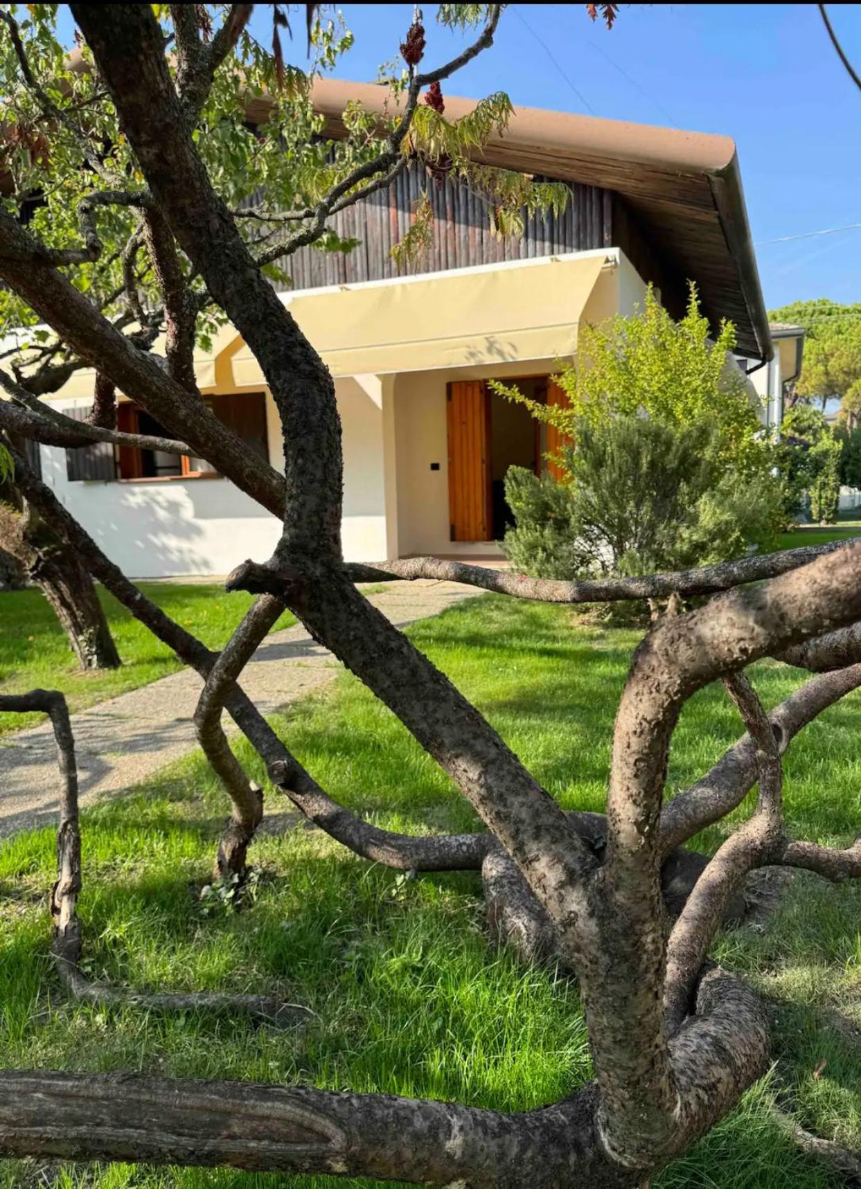 Casa Degli Albicocchi - Near Venice - Whole House With Garden And Free Prkg * Spinea